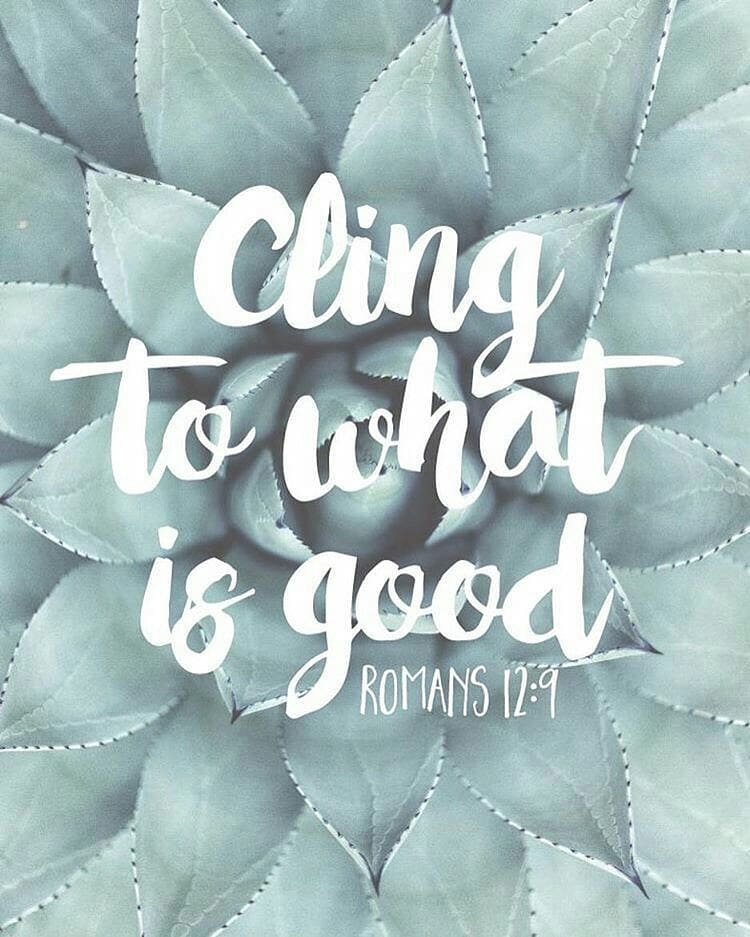 Romans 12:9-10 – Love must be sincere. Hate what is evil; cling to what is good….