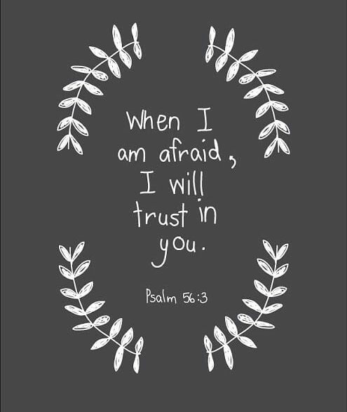 Psalm 56:3-4 – ”
When I am afraid, I put my trust in you. In God, whose word I p…