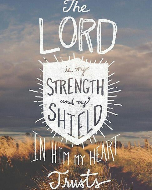 Psalm 28:7
What a powerful shield! 
What a great verse…
