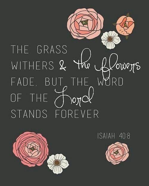 Isaiah 40:8 – The grass withers and the flowers fall, but the word of our God en…