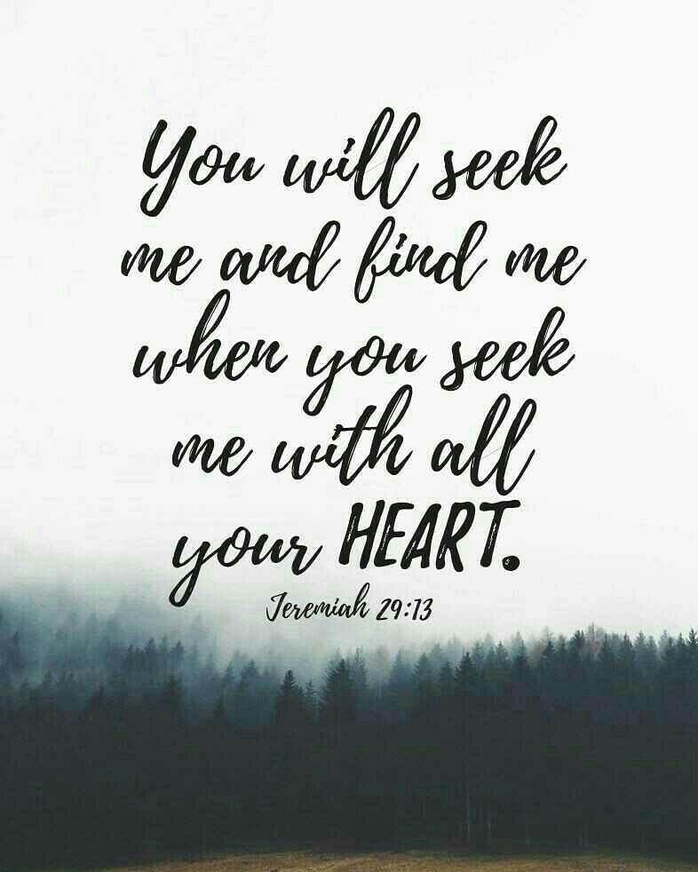 Jeremiah 29:13 – You will seek me and find me when you seek me with all your hea…