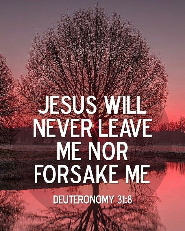 Deuteronomy 31:8 – The Lord himself goes before you and will be with you; he wil…