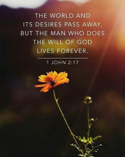 1 John 2:17 – The world and its desires pass away, but whoever does the will of …