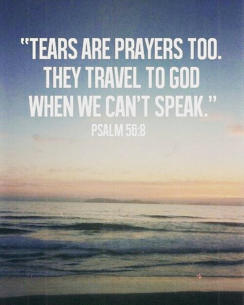 Psalm 56:8 – You keep track of all my sorrows. You have collected all my tears i…